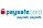 paysafecard_logo